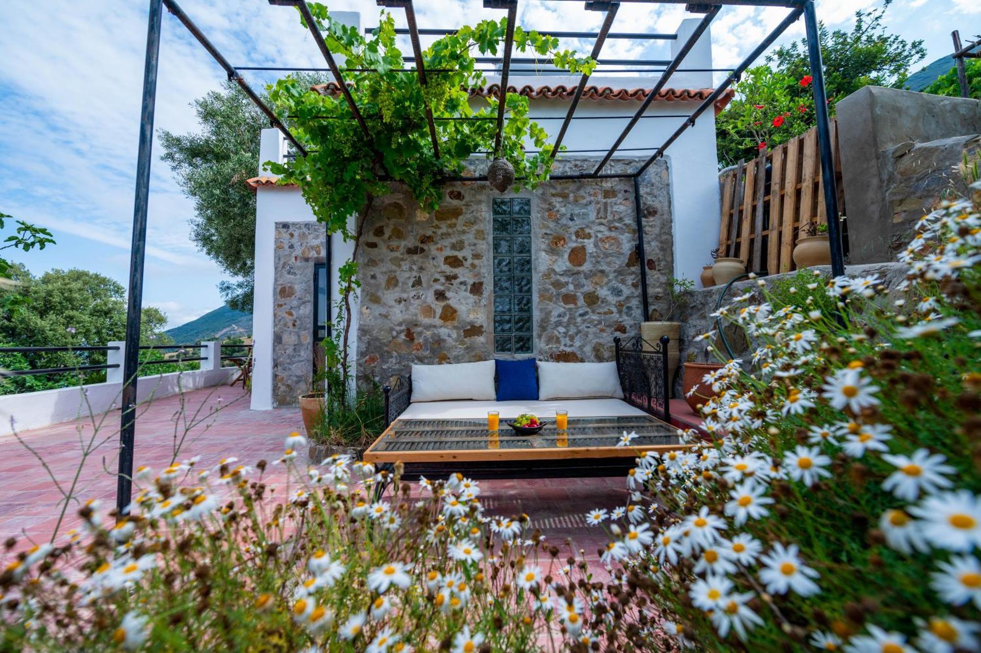 Farm Finn Chefchaouen Exteriör bild